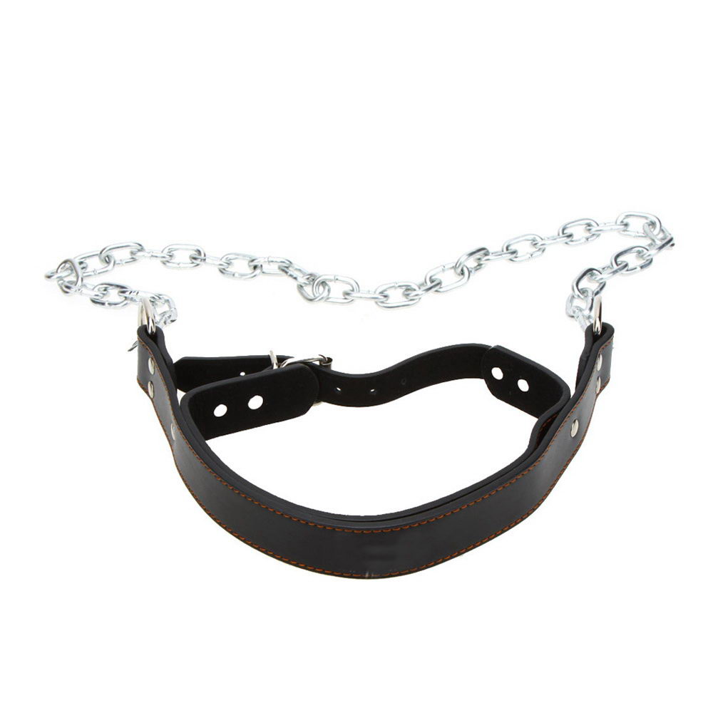 Head Harness